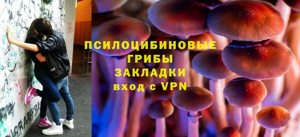 прущие крисы Медвежьегорск