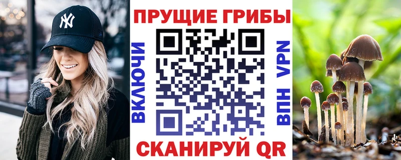Псилоцибиновые грибы прущие грибы  Купить где  Красноуфимск 